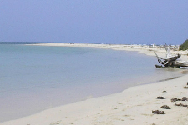 Punta Antón Lizardo