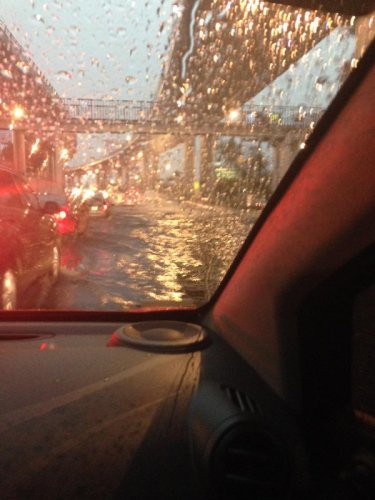 altavistaalfonsovargast