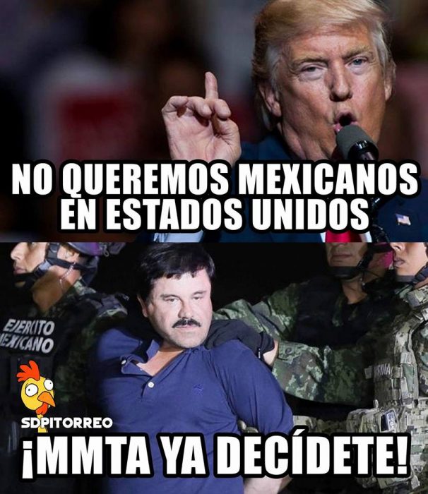chapo5