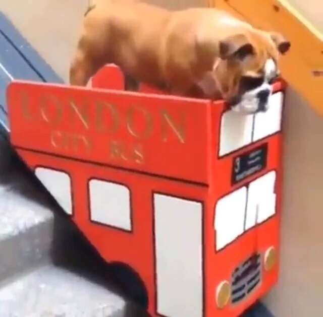 WhatsApp Image 2017-08-03 at 11.05.07 AM